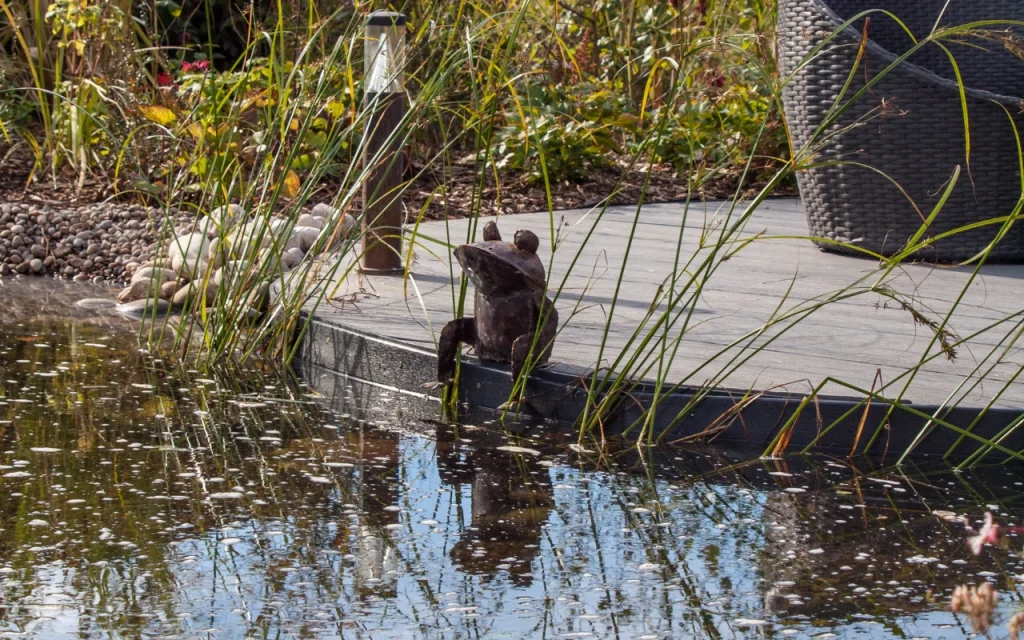 Ponds & Water Features 42