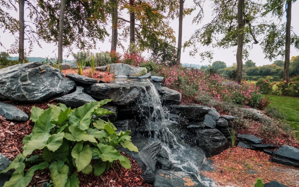 Ponds & Water Features 74